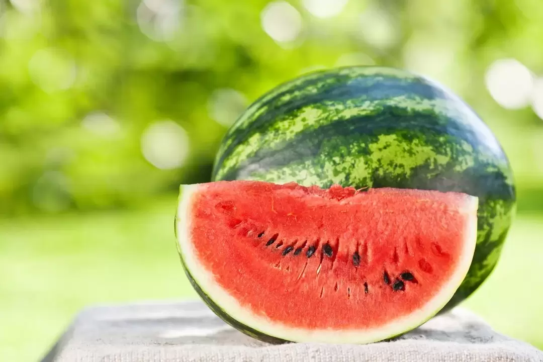 vannmelon for vekttap