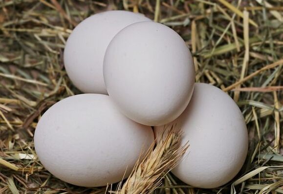 Eggdietten innebærer å spise kyllingegg daglig. 