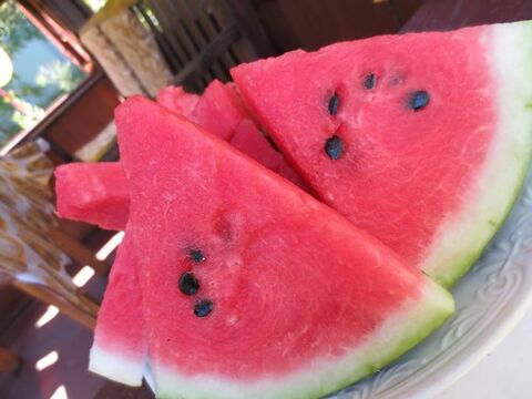 Riktig vannmelon
